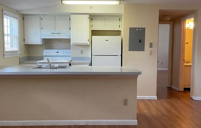 1 bed, 1 bath, $1,100, Unit 301