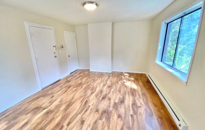 Studio, 1 bath, 390 sqft, $1,495, Unit 05
