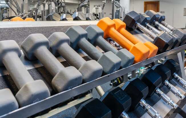 a row of dumbbells on a machine in a gym