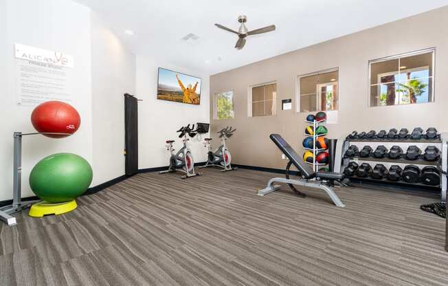 the gym at the flats at big tex apartments