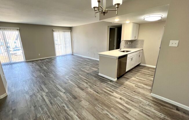 Gallery Photo 14