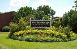 3351 Cove Lake Drive