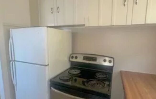 1 bed, 1 bath, 432 sqft, $600, Unit Rear