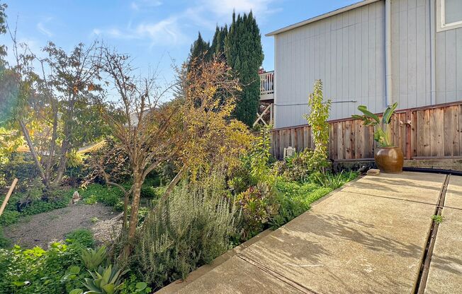 Spacious, Bright & Private Home with Huge Backyard on one of the quietest streets of Redwood Heights