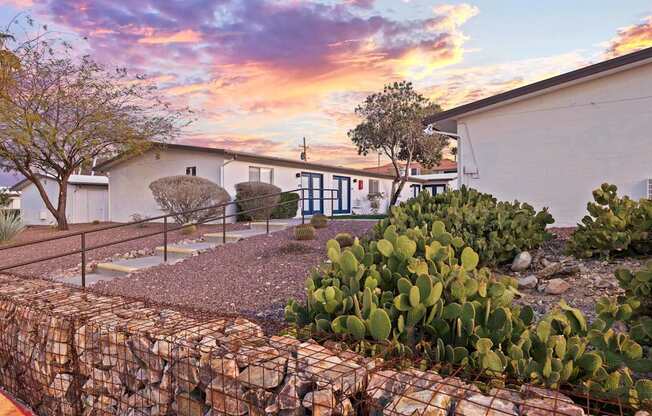 A house with a stone wall and a cactus in front.