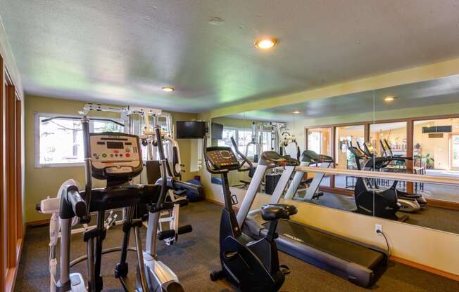 the gym has a lot of equipment for cardio and weights