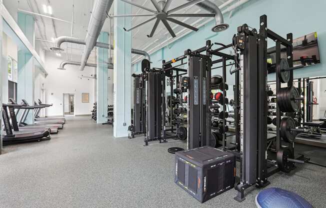 A gym with a variety of equipment including treadmills, weight machines, and free weights.