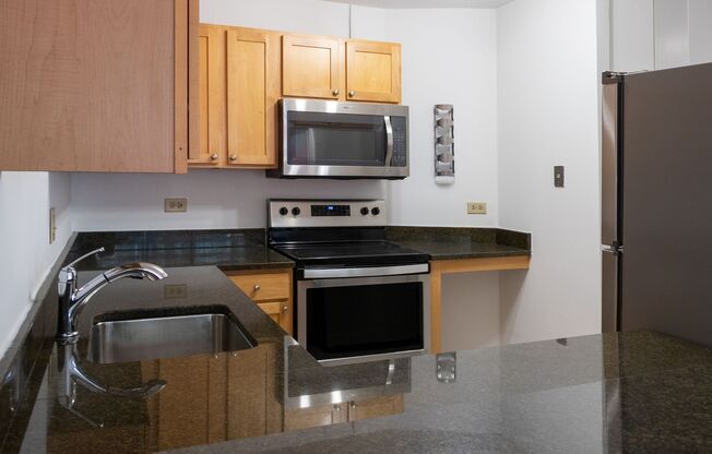 Streeterville Upgraded 2b/2b High-rise Condo