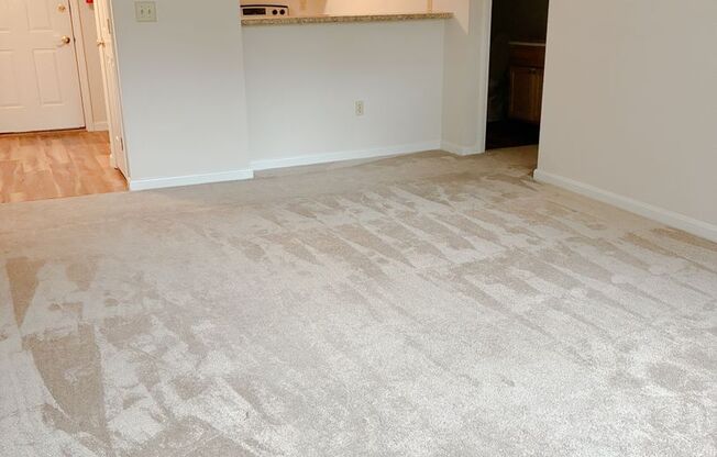 1 bed, 1 bath, 585 sqft, $1,600, Unit 645