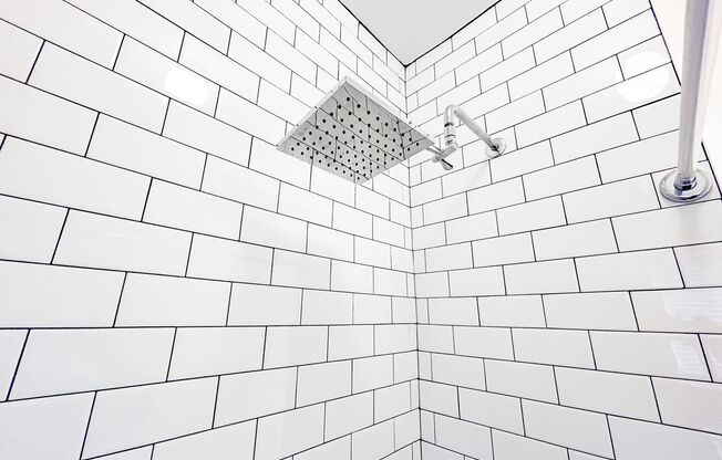 1 bed, 1 bath, 600 sqft, $995, Unit 205