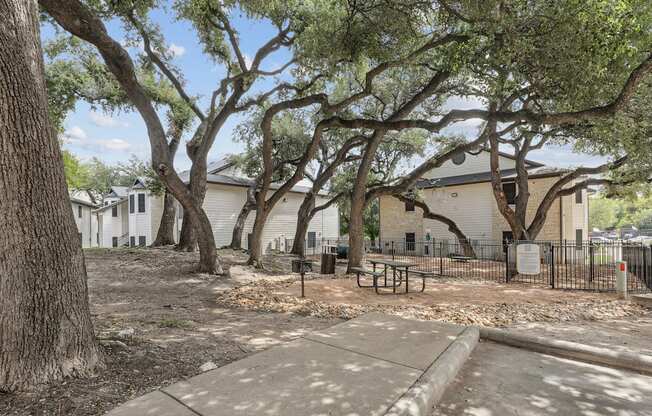 dog park with picnic table and trees