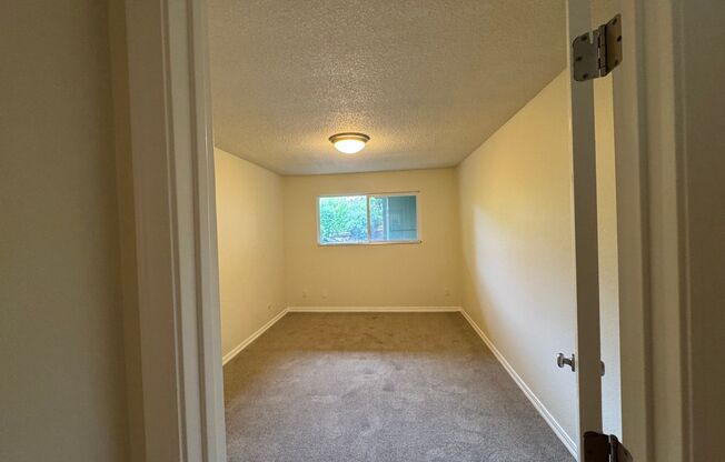 1 bed, 1 bath, 590 sqft, $1,250, Unit 202
