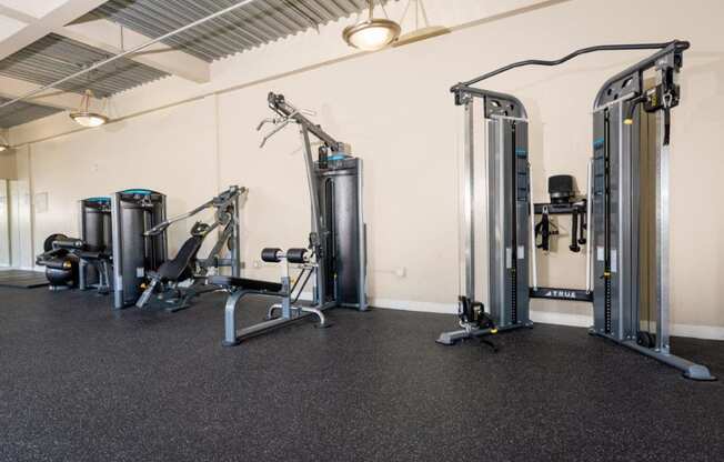 the gym is equipped with weights and cardio equipment