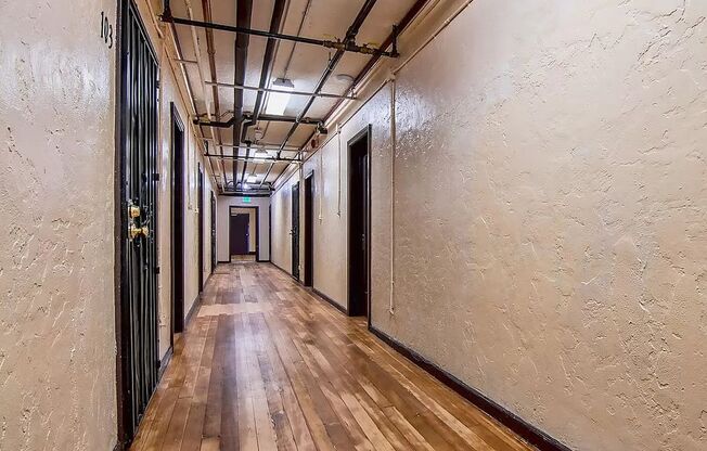 Studio, 1 bath, $1,350, Unit 215