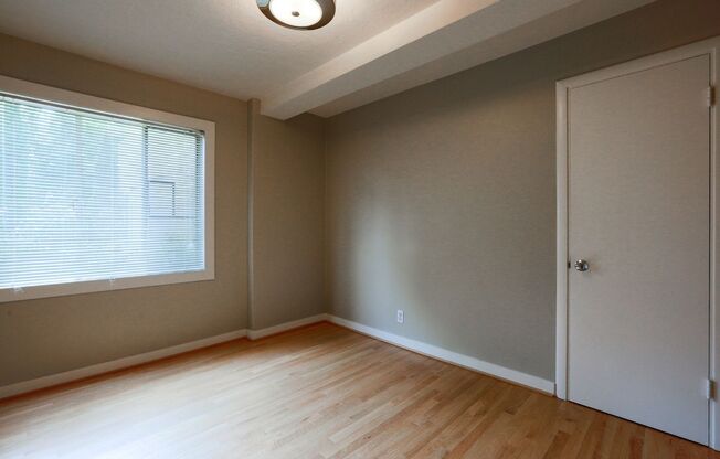 1 bed, 1 bath, 550 sqft, $1,350, Unit 206