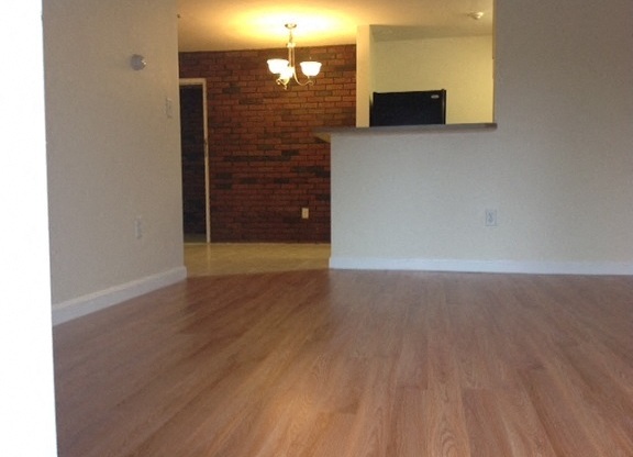 Gallery Photo 19