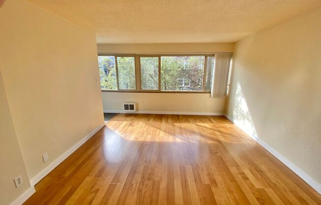 1 bed, 1 bath, 540 sqft, $1,645, Unit 203