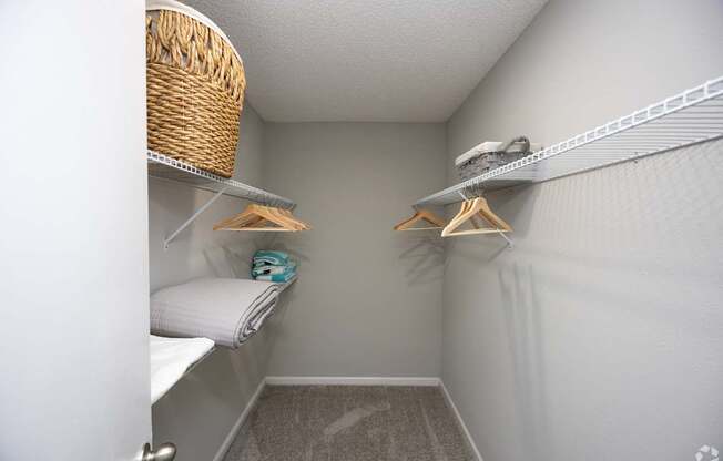 A small, white closet with a basket on the shelf.