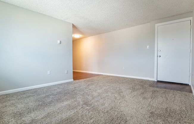 1 bed, 1 bath, 492 sqft, $1,065