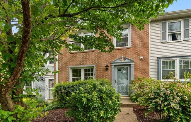 11537 IVY BUSH CT