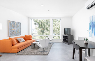 Bell View Apartments – Modern Living in North Capitol Hill