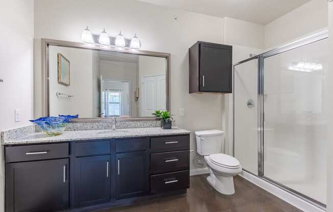 Large Bathroom with Cabinetry and Stand Up Shower