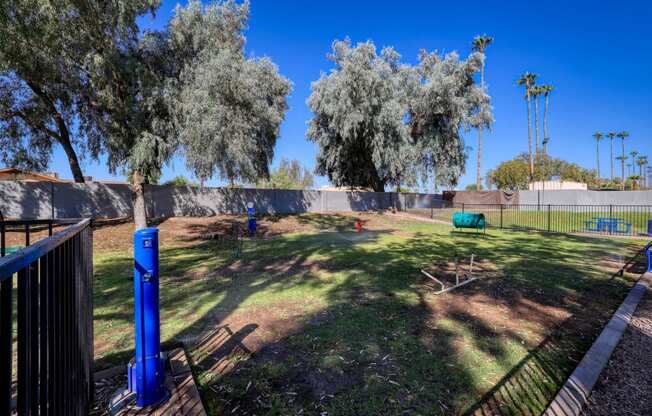 a large grassy area with trees in the background and a fence in the foregroundat The Julia, Arizona