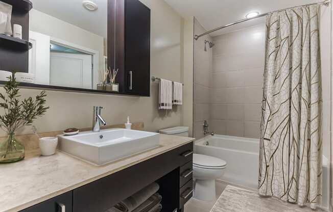 a bathroom with a sink and a toilet and a shower