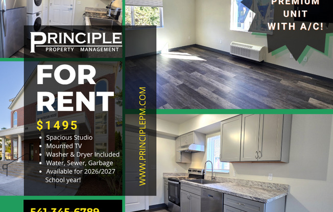 Studio, 1 bath, 468 sqft, $1,350, Unit 305