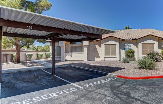 Painted Desert Opportunity