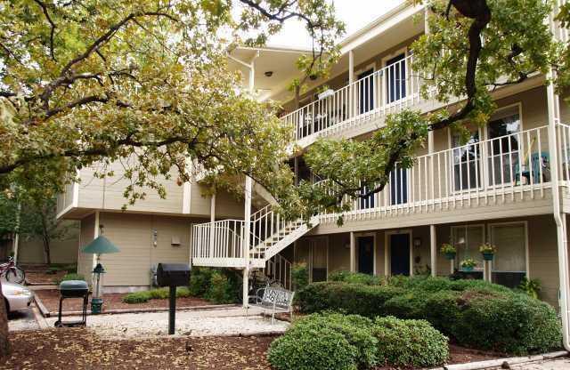 K021 - Treehouse #204