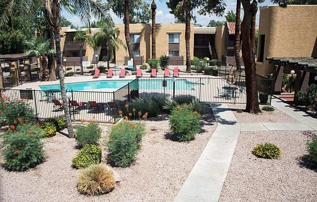 Madera at Metro Pool with Lounge Chairs
