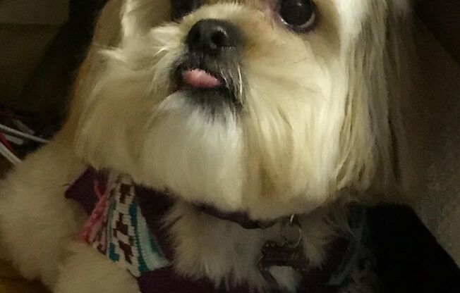 1 bed, 1 bath, 640 sqft, $1,499, Unit 5400-2