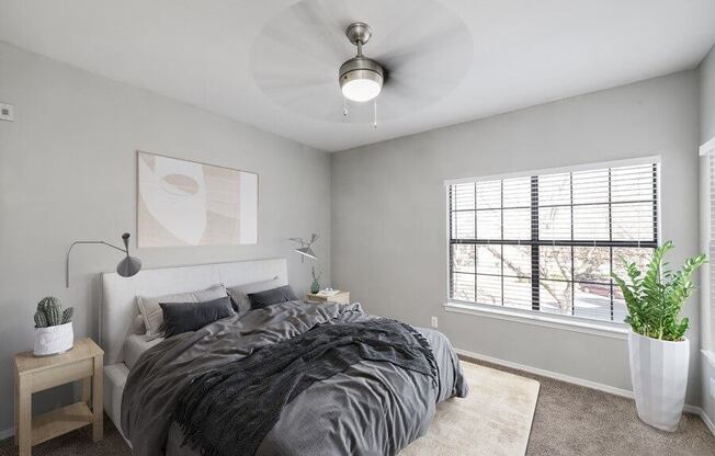 Model basic bedroom