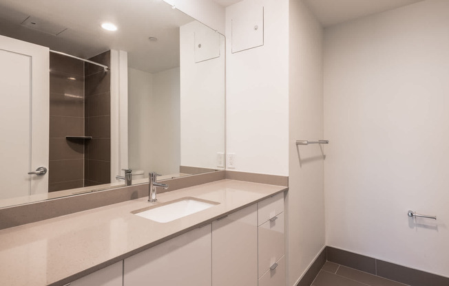 Bathroom With Hard Surface Flooring