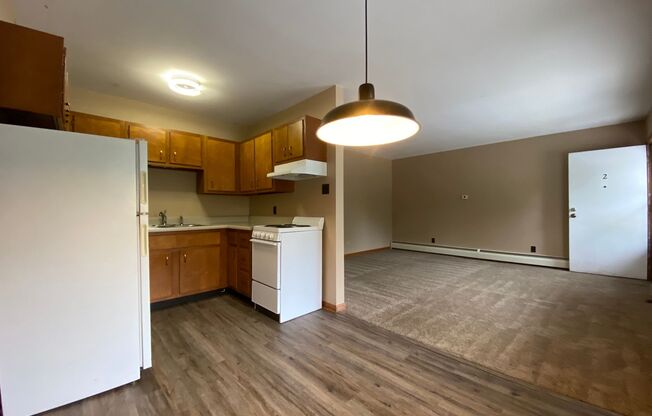 1 bed, 1 bath, 560 sqft, $800, Unit Apt. 2