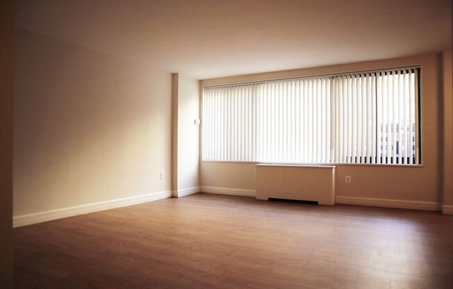 Studio, 1 bath, 460 sqft, $2,200, Unit 0116