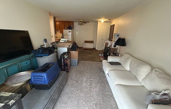 1 bed, 1 bath, $895, Unit 56