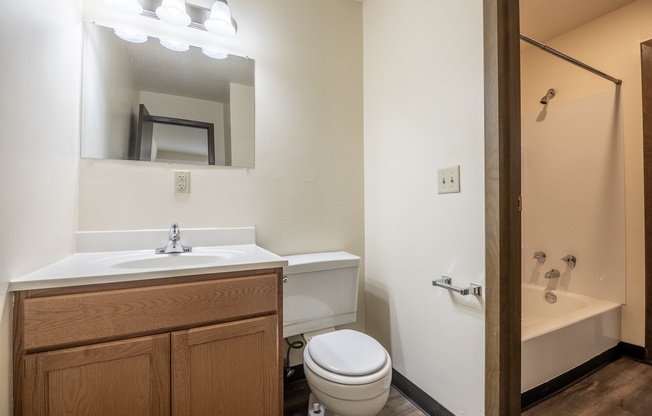 A bathroom with a toilet, sink, and mirror.
