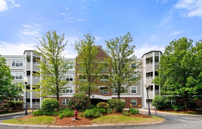 2 beds, 2 baths, 1,170 sqft, $3,650, Unit 204