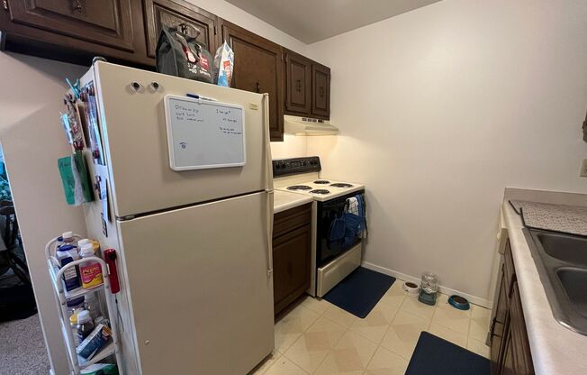 1 bed, 1 bath, $995, Unit 206