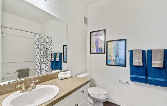 Luxurious Bathroom at Madison Park Road, Plant City, FL, 33563