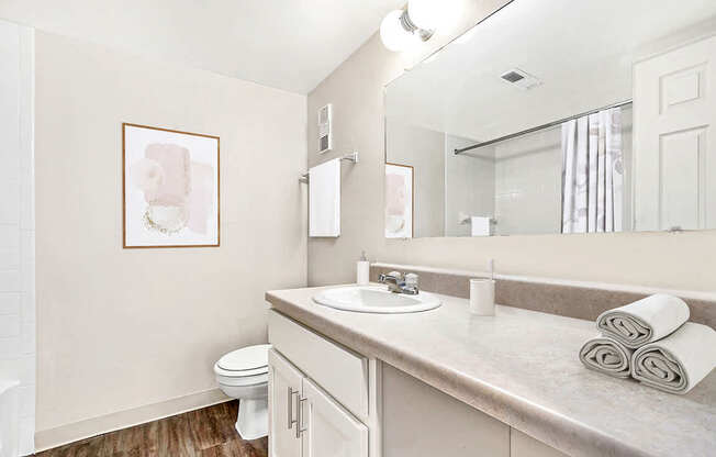 An upgraded bathroom with a toilet, sink, and large vanity with a mirror at Irish Hills Apartments, South Bend, Indiana