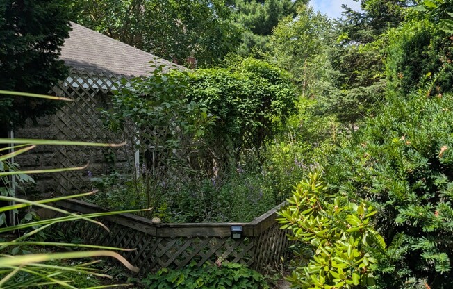 12 RINDGE
