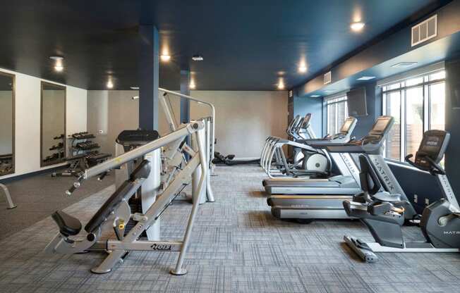 Fully-Equipped Fitness Center at The McMillan Apartments in Shoreview, MN 55126
