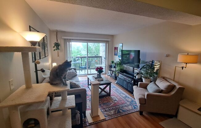 1 bed, 1 bath, 550 sqft, $1,095, Unit 305