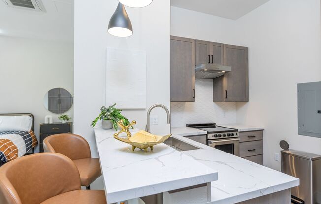 Studio, 1 bath, 555 sqft, $1,550, Unit 202