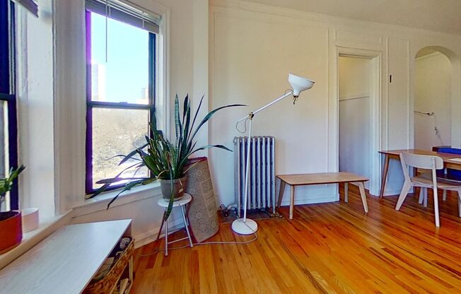 1 bed, 1 bath, 520 sqft, $2,300, Unit 402