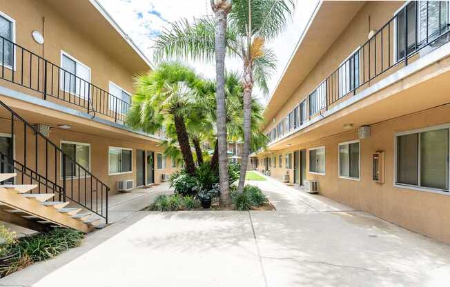 A courtyard with a palm tree in the middle of it.