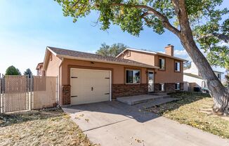 Fort Carson Beauty - 340 Walbrach Way